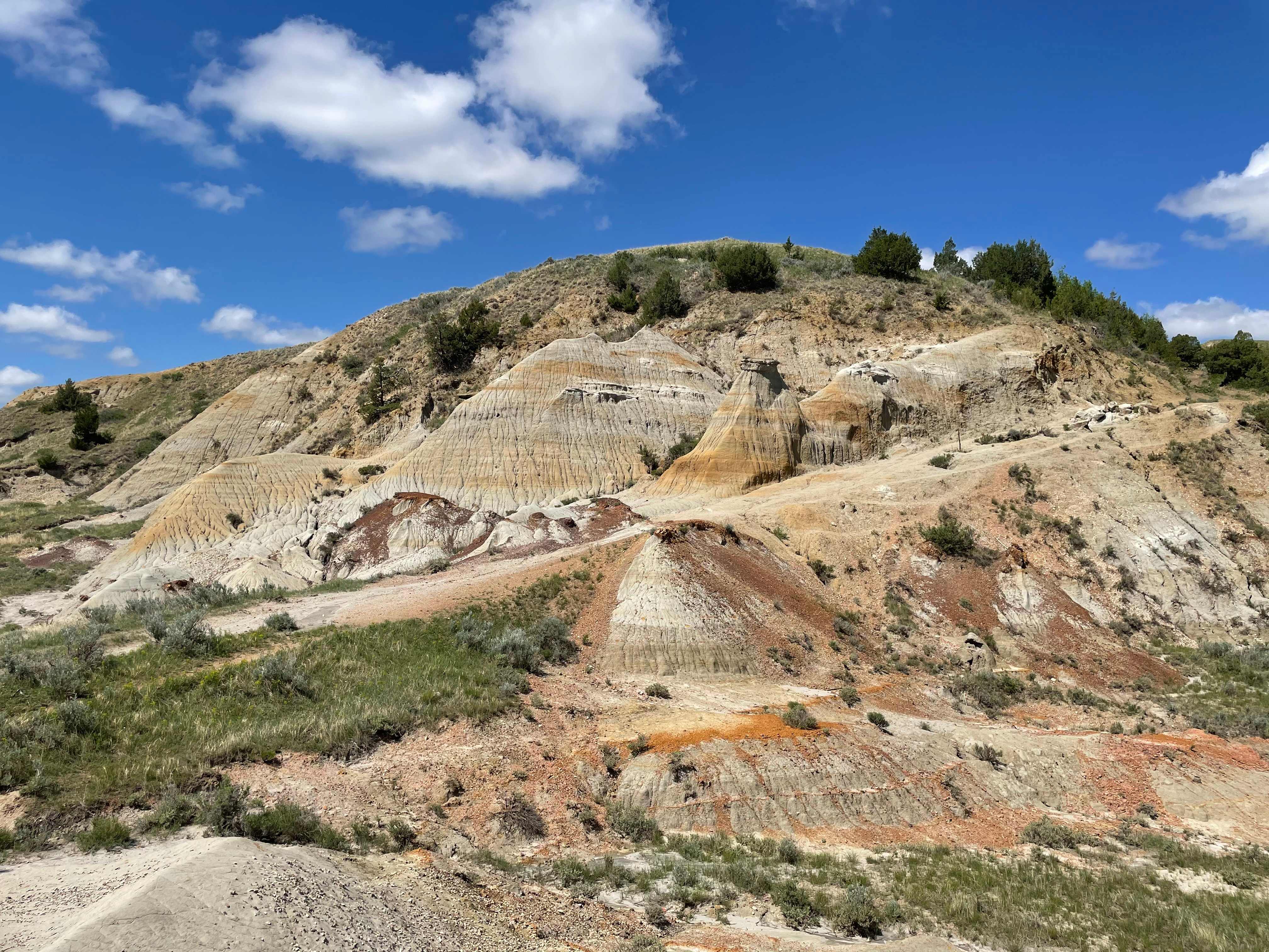 Theodore Roosevelt NP